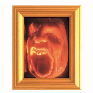 Statelines (feat. Hihalen) (Explicit)