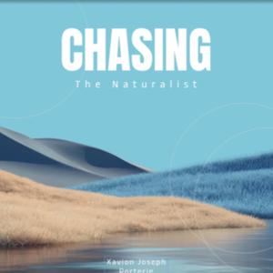 Chasing (feat. Nah taiwan & Vocal Lab) (Green eyes Remix Version)