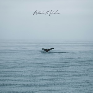 A Song From a Whale