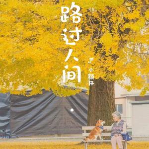 路过人间-柯宇(孙泽耀)