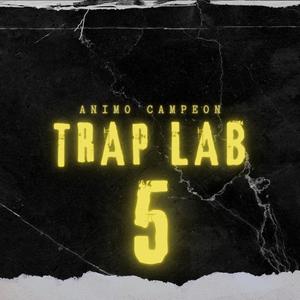 Trap Lab 5