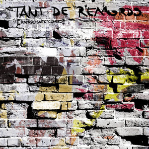 Tant de Remords - kataplismik covers