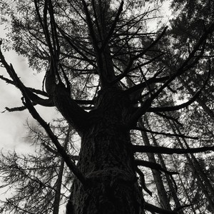 Won't Even Bother(feat. NORUE) (Explicit)