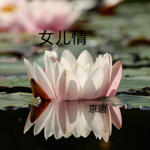 女人没有错 (DJ版)