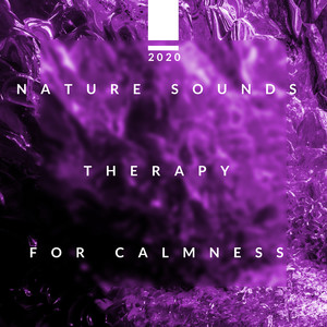 2020 Nature Sounds Therapy for Calmness