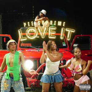 LOVE IT (Explicit)