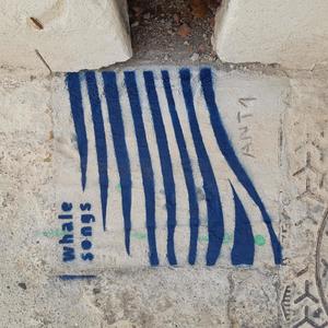 the show with no name