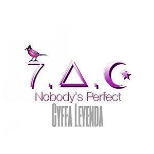 Nobody's Perfect - Single