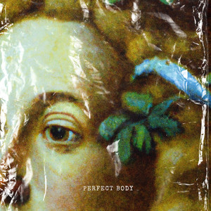 Perfect Body (Playback)