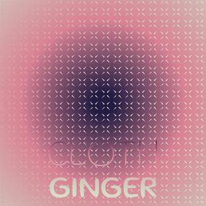 Cloth Ginger