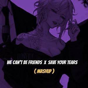 We Can't Be Friends X Save Your Tears (Mashup)