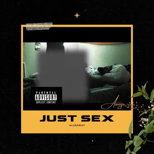 Just Sex Alldaway (Explicit)