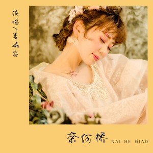 奈何桥 (DJ名龙 Mix)封面