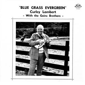 Blue Grass Evergreen