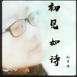 初见如诗