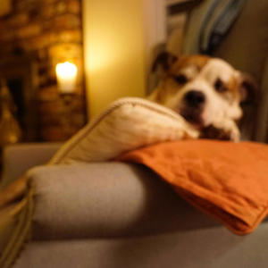 Hunatutaka (brain scrambler) (feat. Sean & Cass)