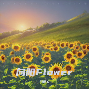 向阳Flower