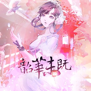 韶华未既