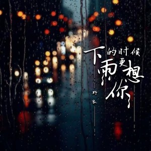 下雨的时候更想你 (DJ德朋版)封面