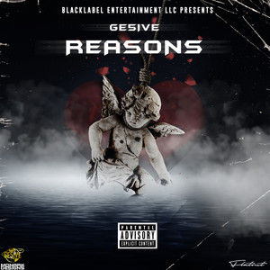 Reasons (Explicit)