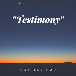 Testimony (Explicit)