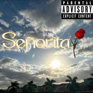 Señorita (Explicit)