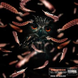 Ya hemmi? (Special Version) (Explicit)