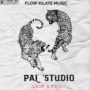 PAL STUDIO (feat Teo Vanegas) [Explicit]