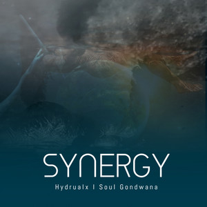 Synergy (Original Mix)