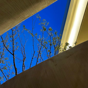 我陈浩南混这么久