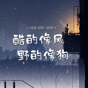 酷的像风野的像狗