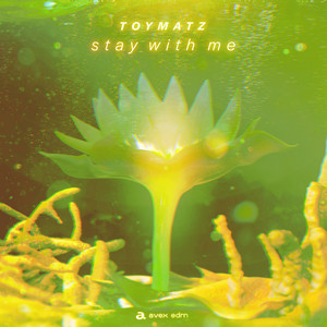 staywithme