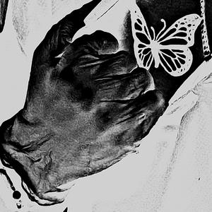 butterfly (Explicit)