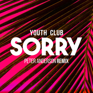 Sorry (Peter Anderson Remix)