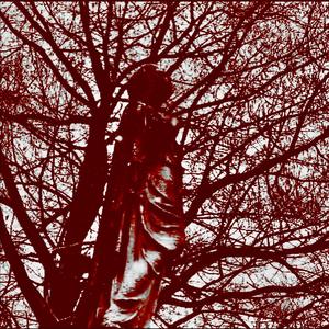 -| DiRECT| 2 RED ! (-) _! -| iii |