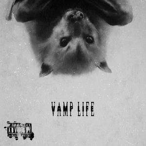 Vamp Life (feat. BANKROLL AJ) (Explicit)