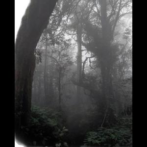 the scars just come back