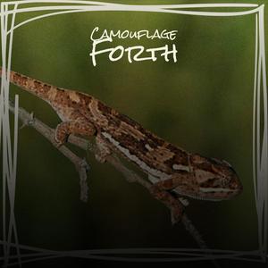 Camouflage Forth