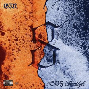 Gin & Sdf Freestyle (Explicit)