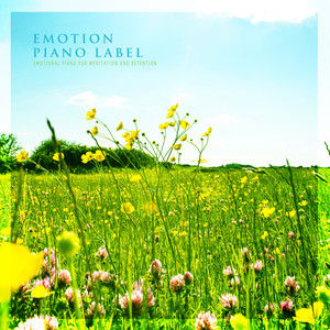 명상과 머무름을 위한 감성 피아노 (Emotional Piano For Meditation And Retention)