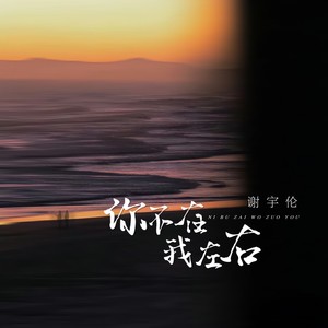 你不在我左右