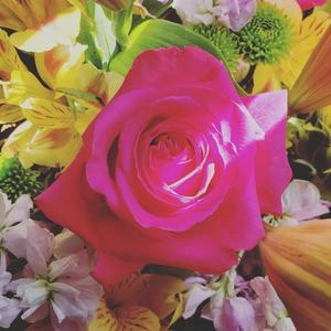 BEARDED LEGEND - TAKE A BREATH (Explicit)