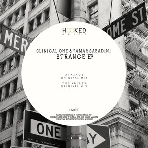 The Valley (Original Mix)