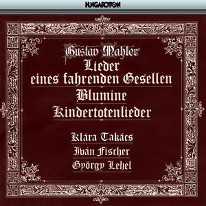 Lieder eines fahrenden Gesellen - Lieder eines fahrenden Gesellen: No. 1, Wenn mein Schatz Hochzeit macht (艺术歌曲《生命之歌》)