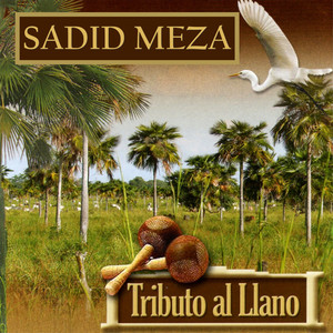 Sadid Meza