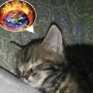 scorched galaxy pt. 2 (feat. lecie) (Explicit)