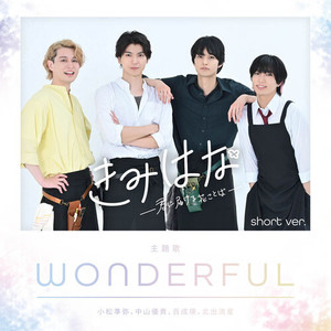 WONDERFUL (short ver.)