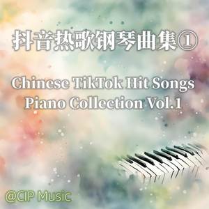 暮色回响 (钢琴版) - CIP Music封面