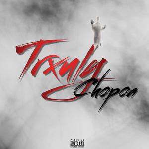 Do What I Can (feat. 1ulchopoa & 4oreign) (Explicit)