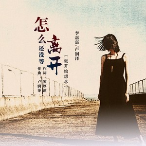 怎么还没等离开 - 卢润泽、李嘉嘉封面